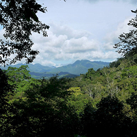 Photo de Bali - Pulakai et Gilimanuk - trekking
